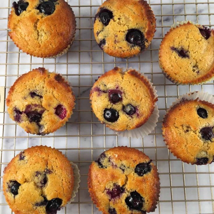 Image for Kodiak Cakes Muffins (Blueberry Protein Muffins)