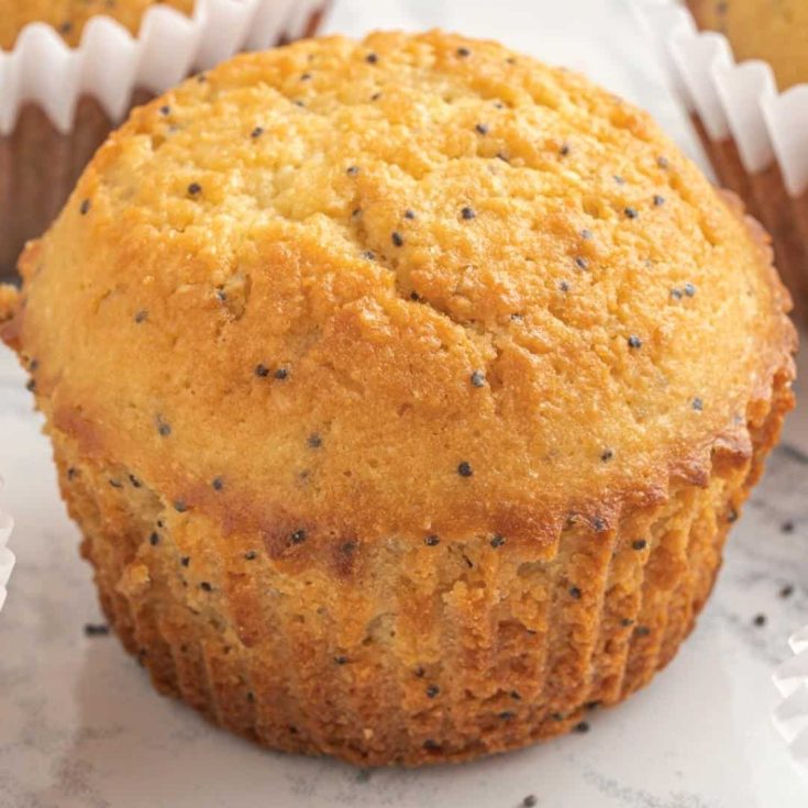 Image for Sugar Free Lemon Poppy Seed Muffins